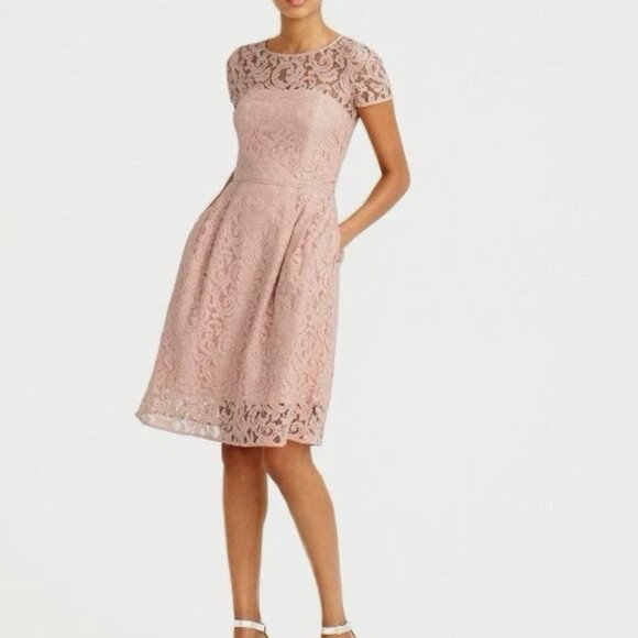 JCrew Elsa Dress in leavers lace - Picture 6 of 8